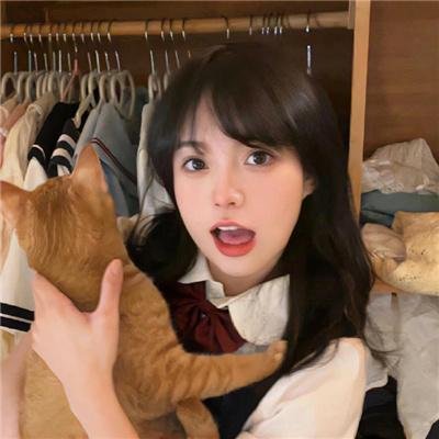 监察局长